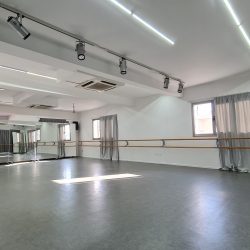 Αίθουσα Χορού - Μουσικού Θεάτρου